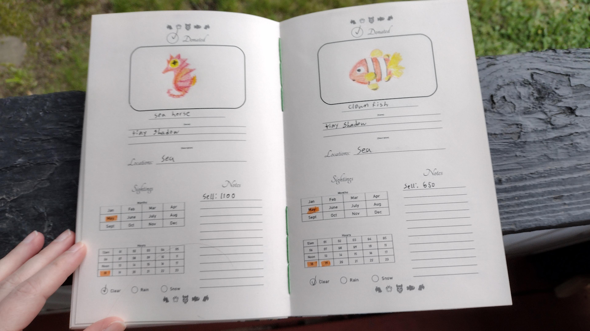 The book opened to view the journal pages. On the left page is a drawing of a sea horse. On the right page is a drawing of a clownfish. Both pages have had details starting to be filled in, including things like the time of day they've been seen and what months.