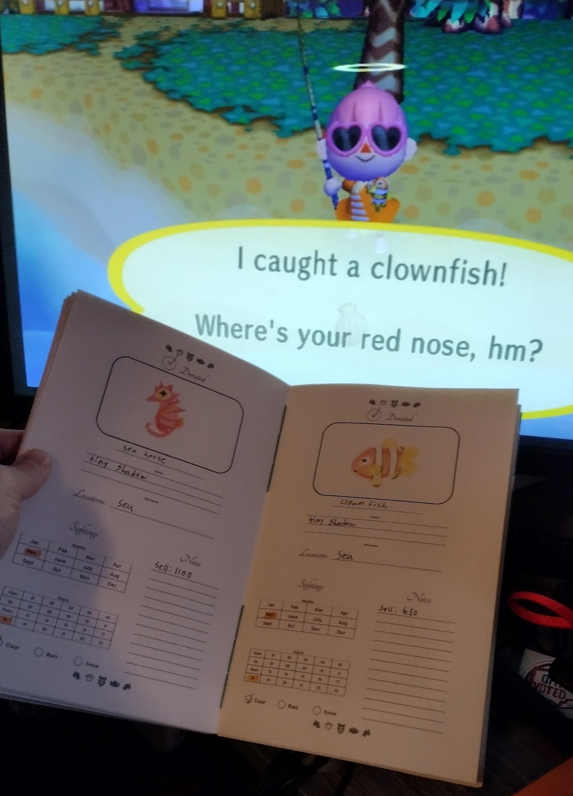 The seahorse & clownfish pages, held up in front of the game being played. In game, the player is holding up a clownfish she just caught.